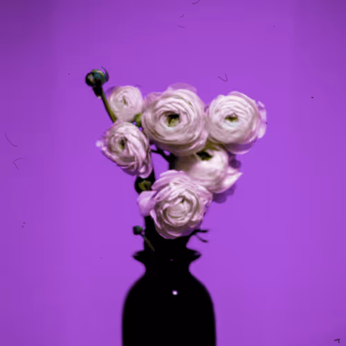 EKTACHROME PURPLE