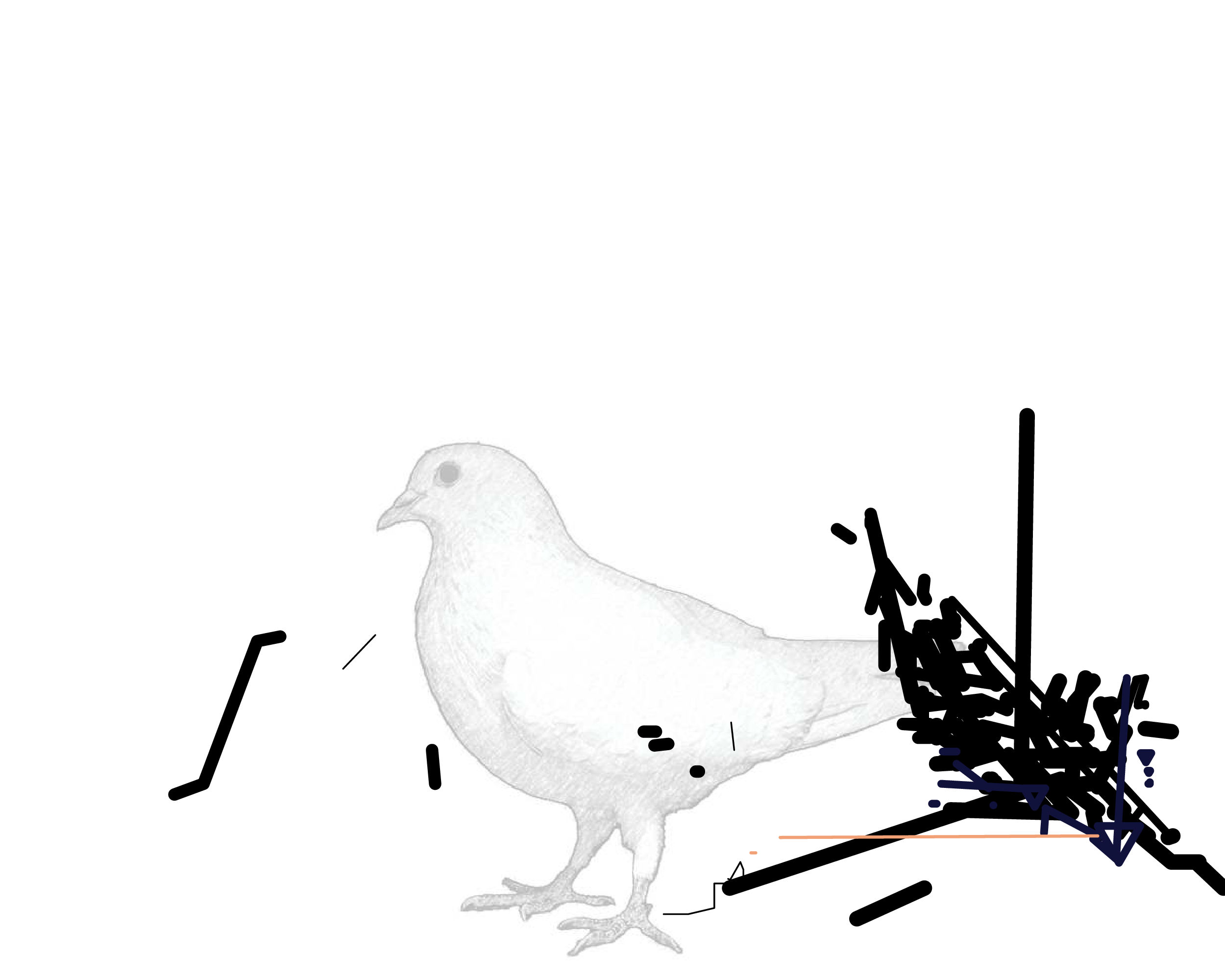 P01.080