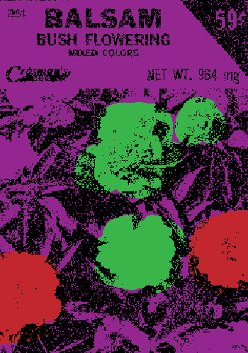 SEEDS #368