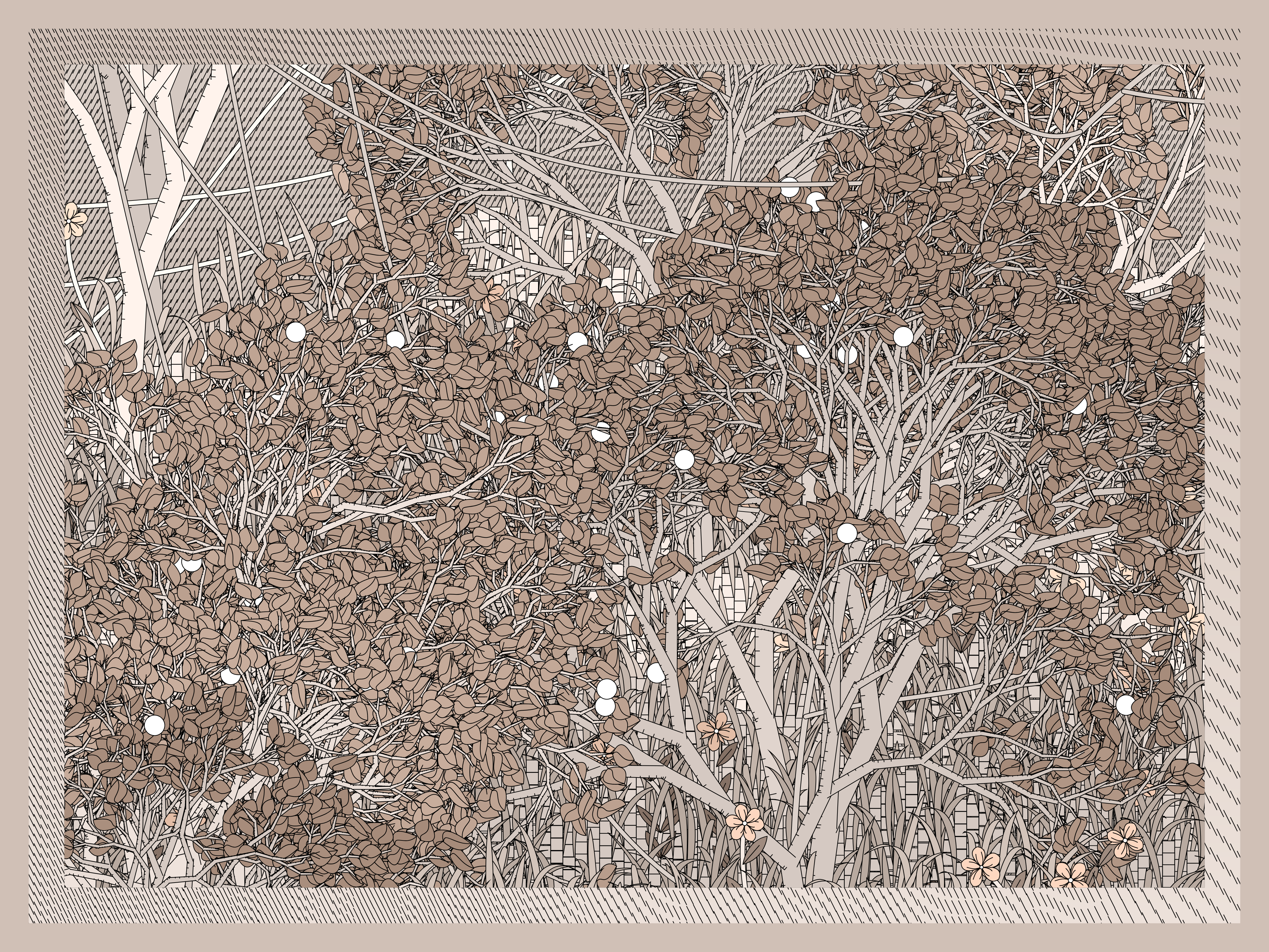 Entangled #239
