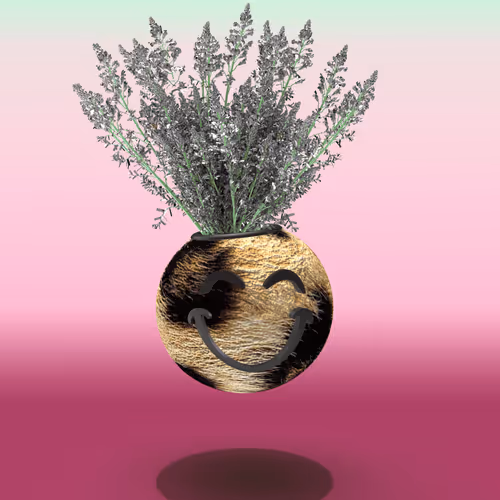 Photosynthesis #1797