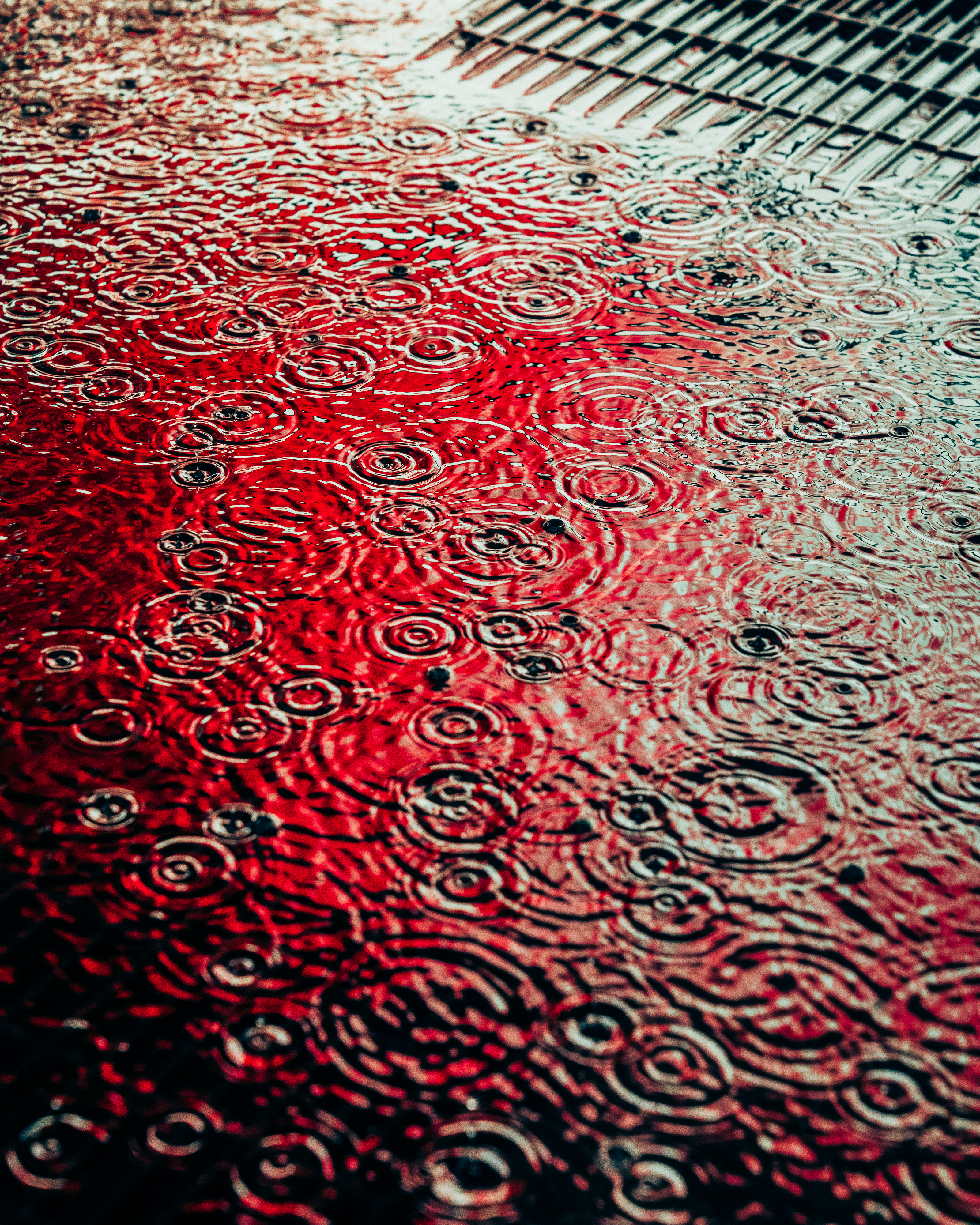DRIP #6: ECHO