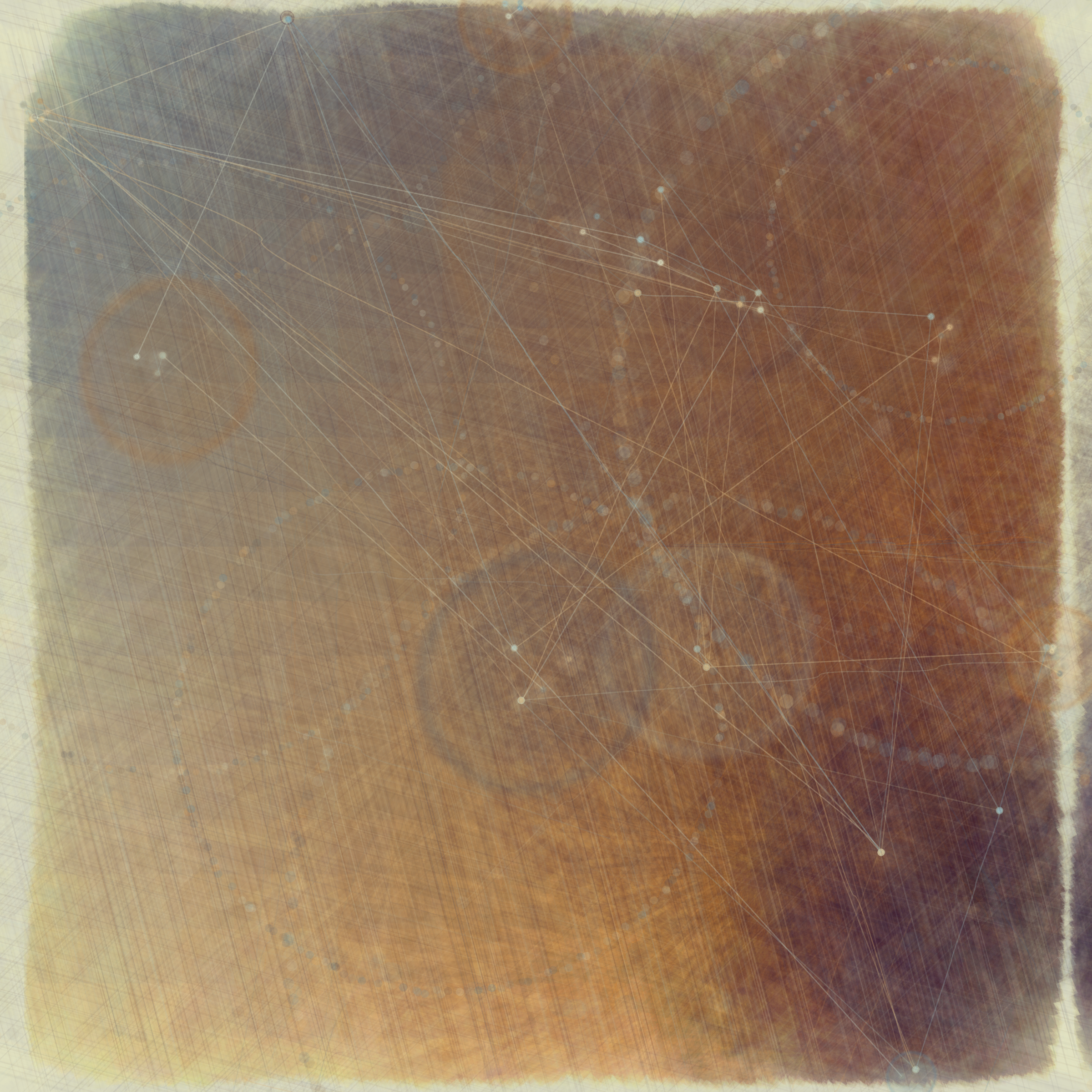 Reticulum