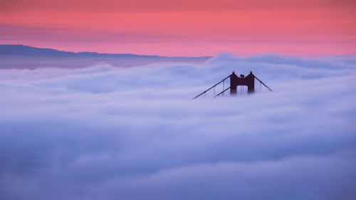 A Symphony of Fog #44
