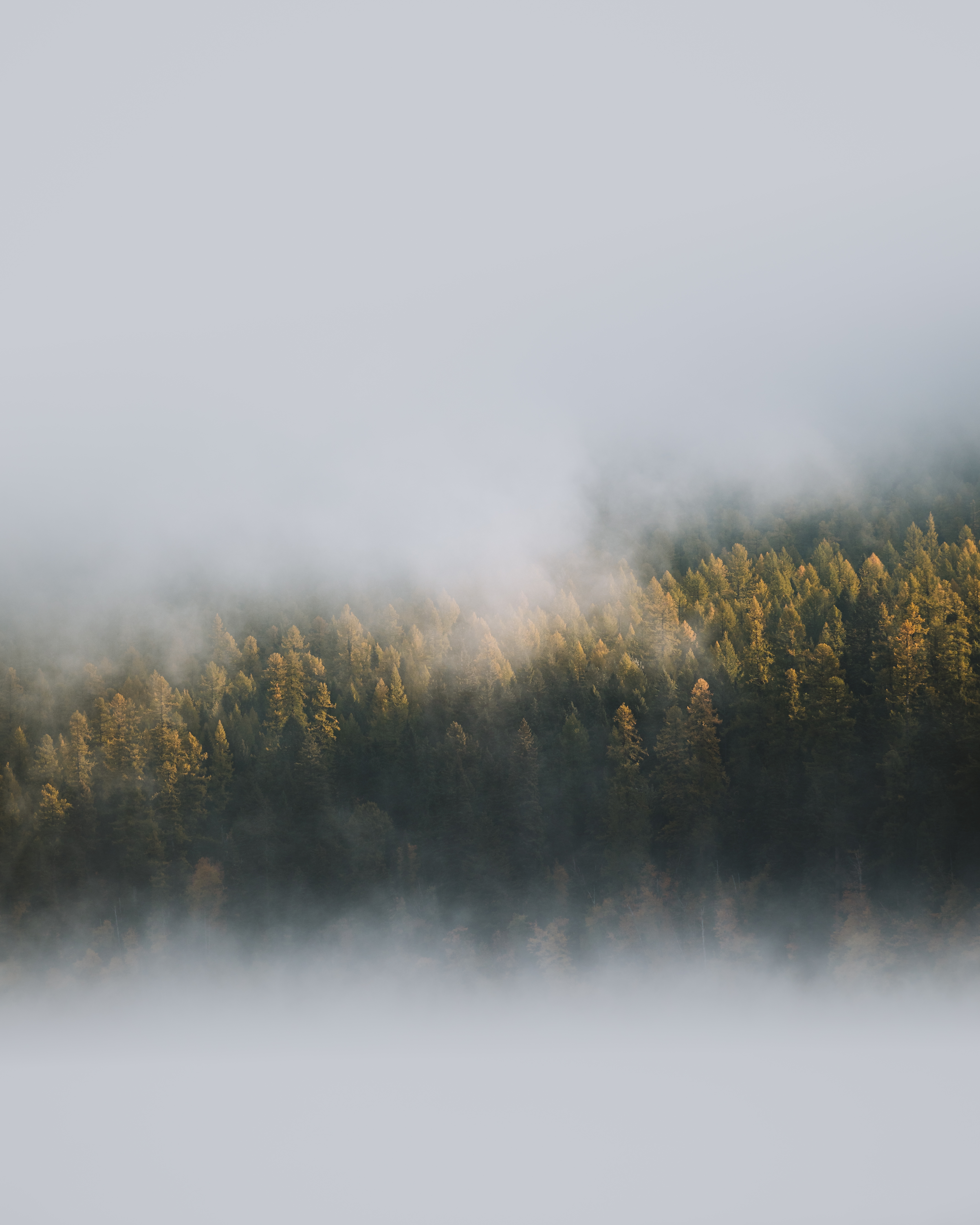 Silence