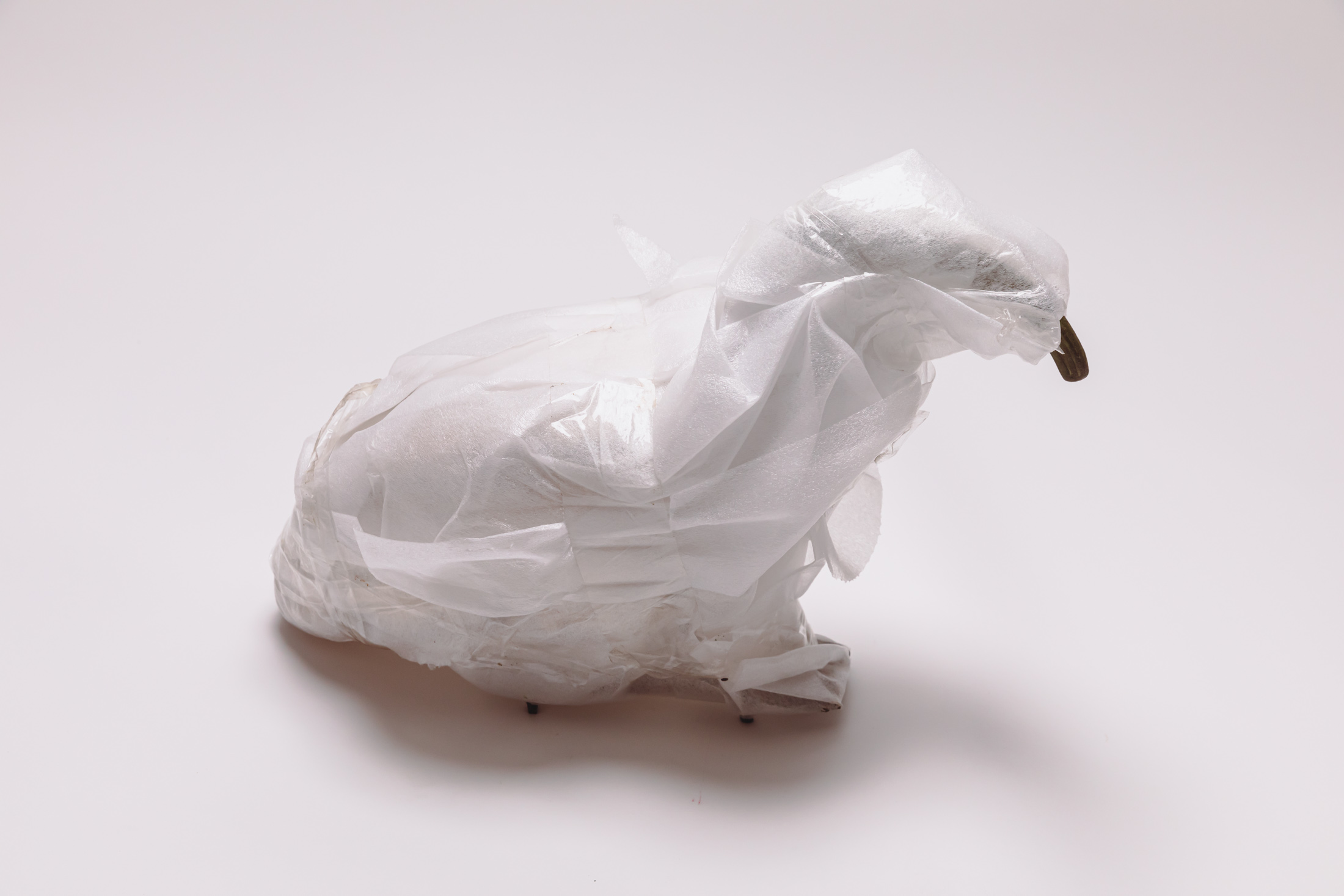 Bird in Storage 