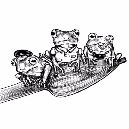 Frog