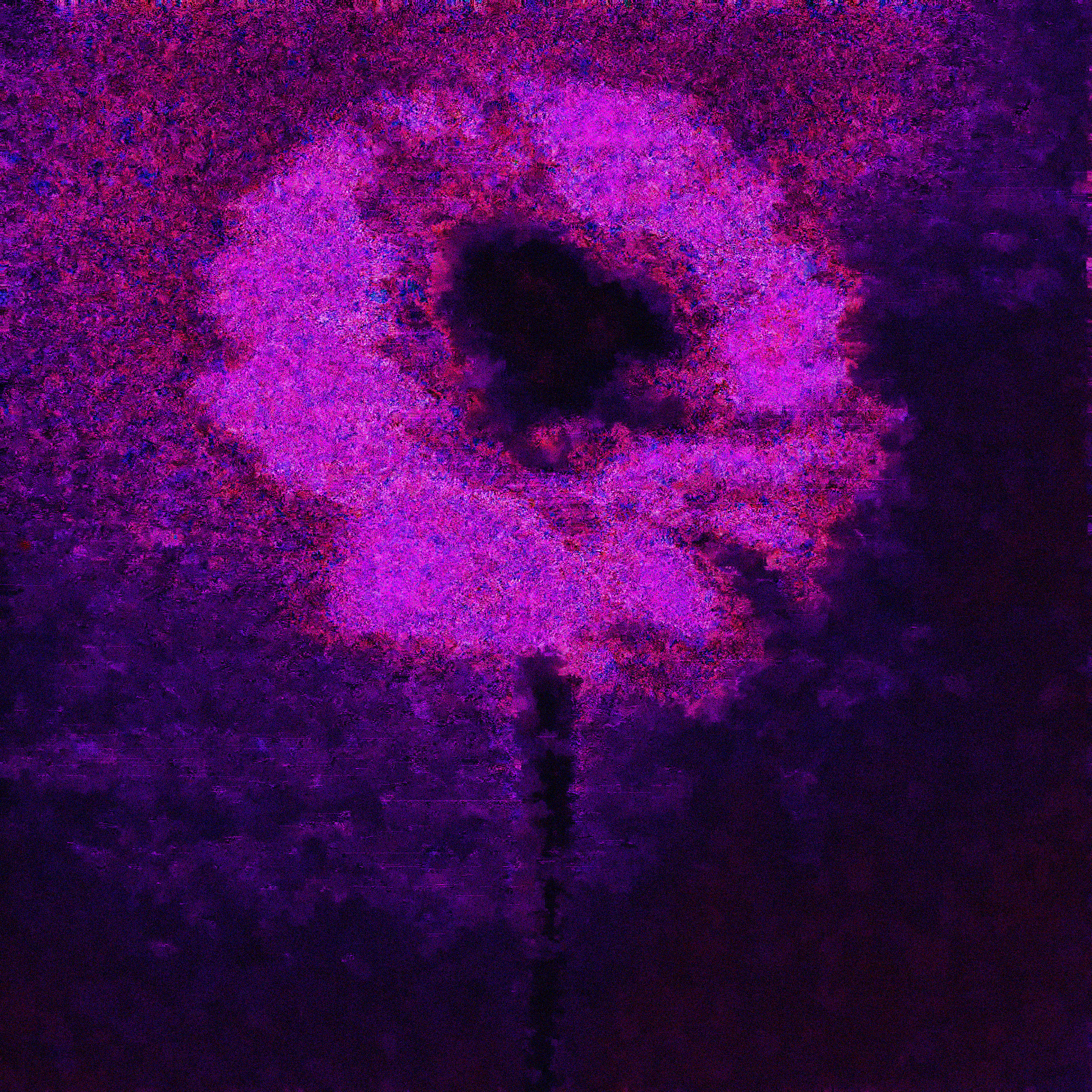 a flower for the moms who make the world go round