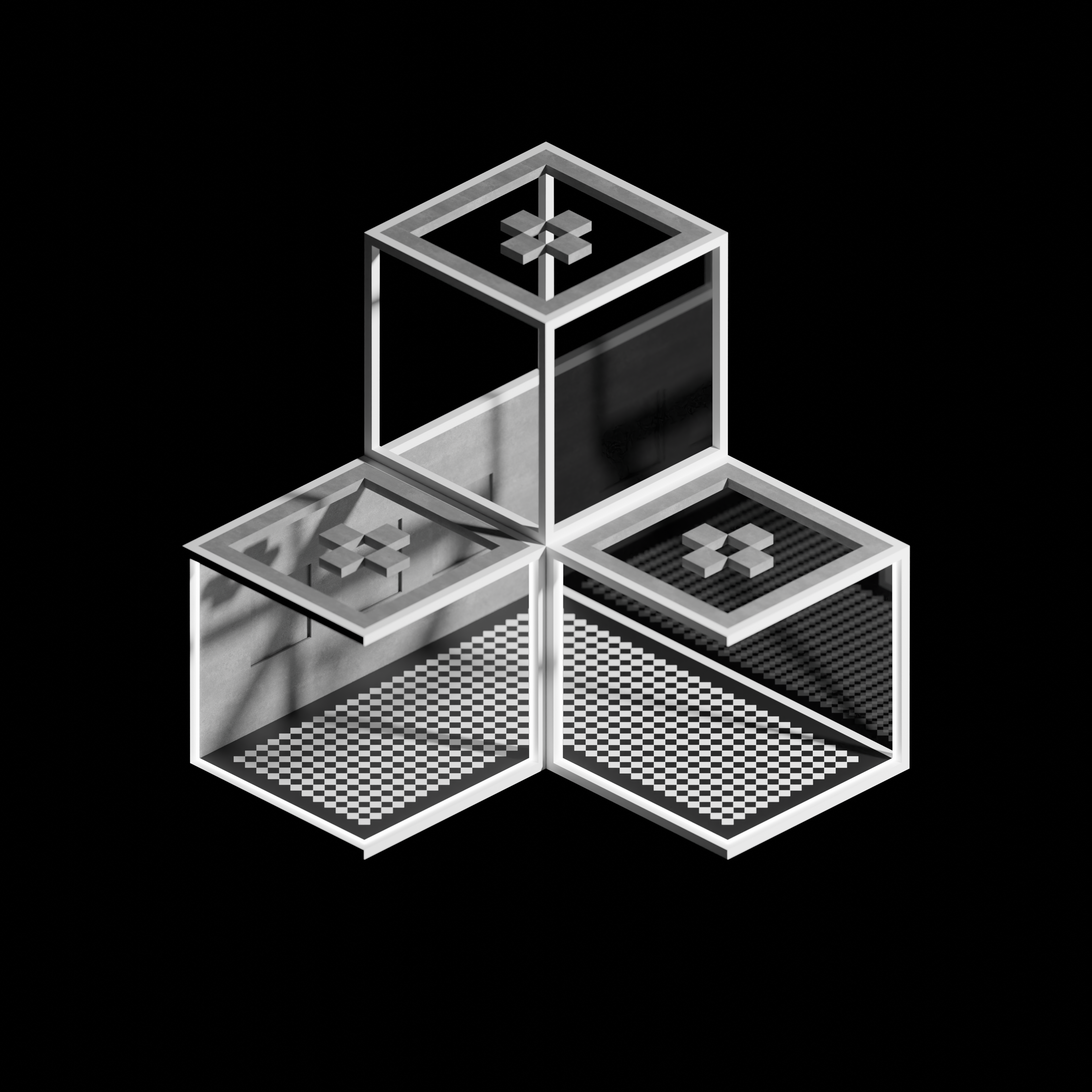ARQ #217