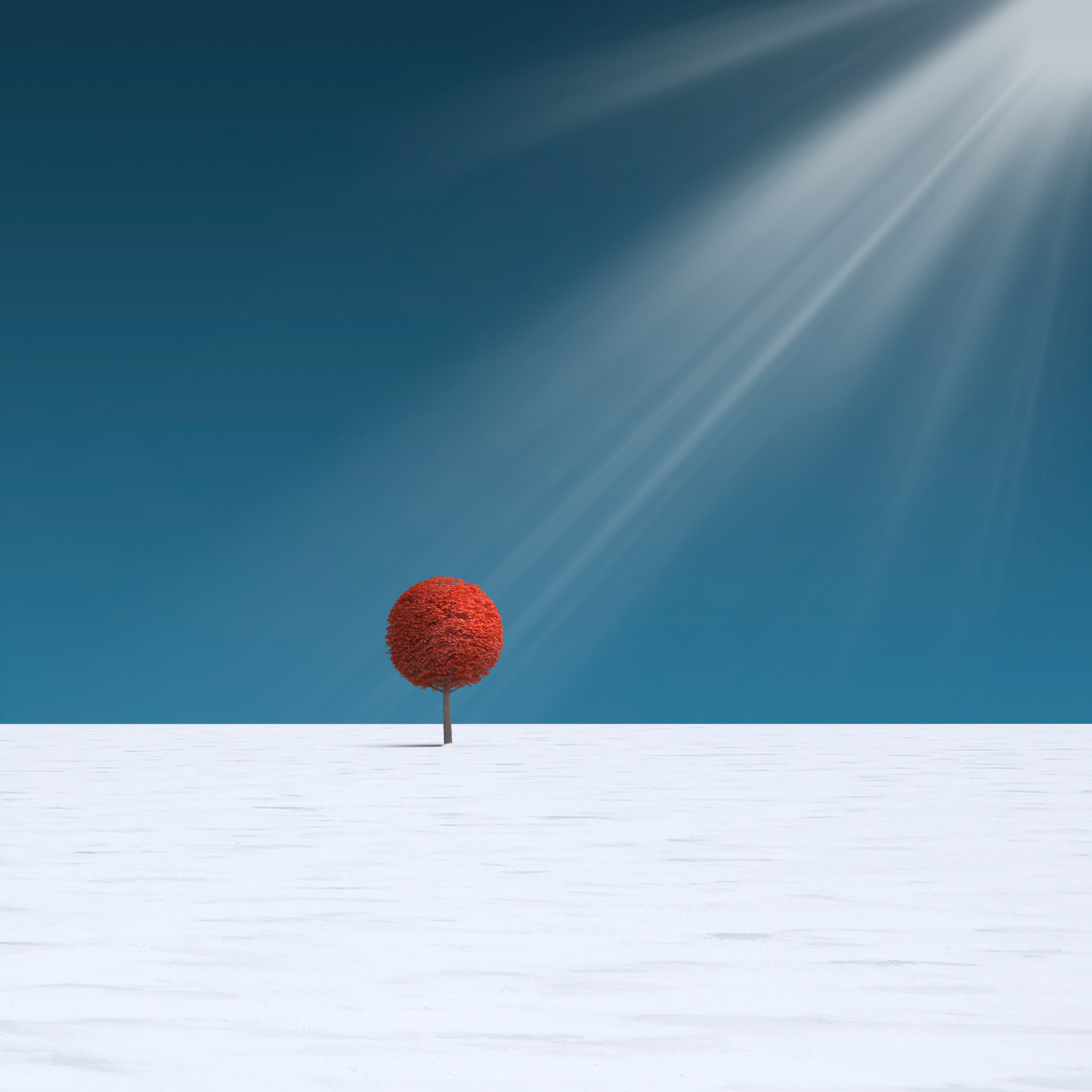 Hope