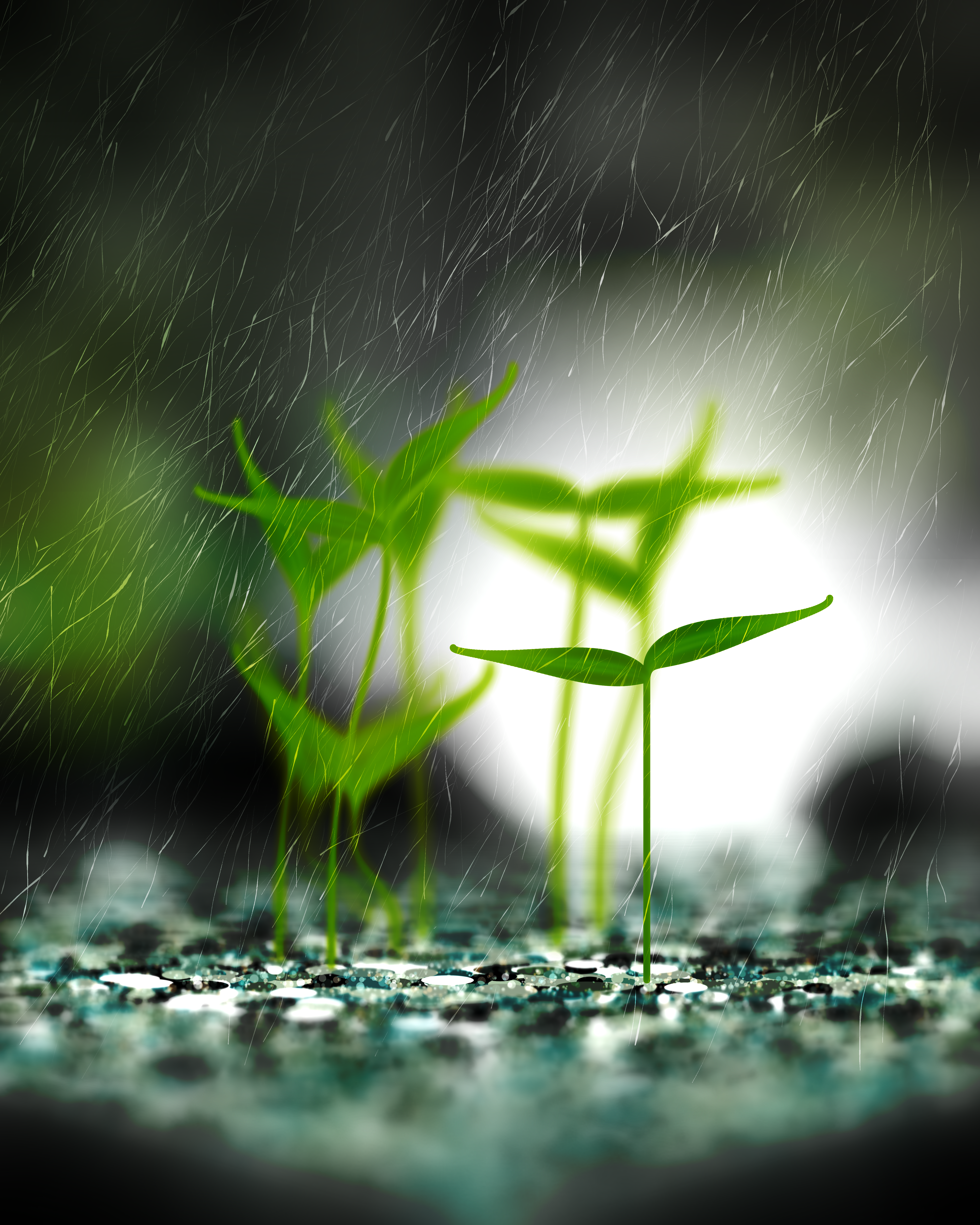 Take Root #5