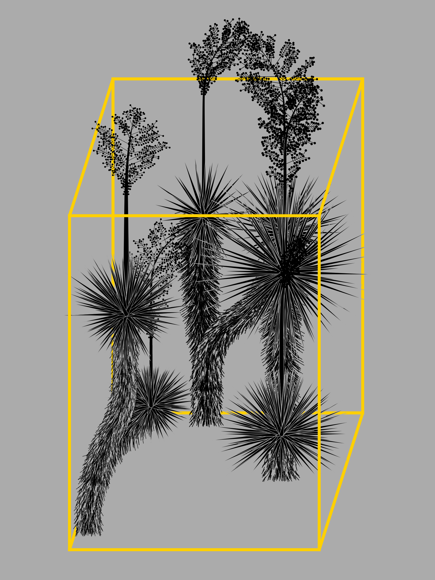 Marfa Yucca #228