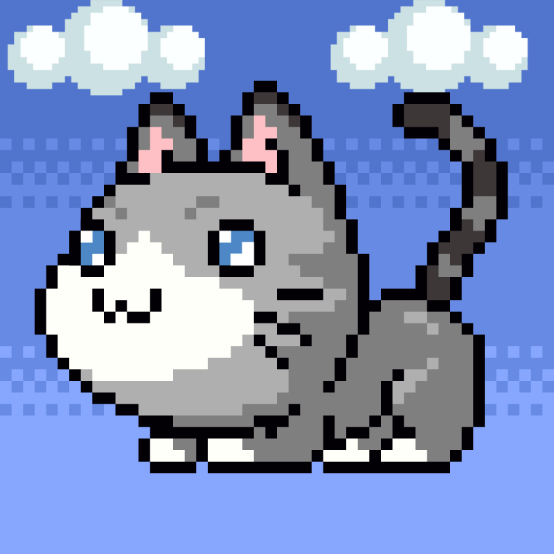 Catxoxo #2199