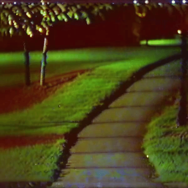thoughts splattered across the sidewalk