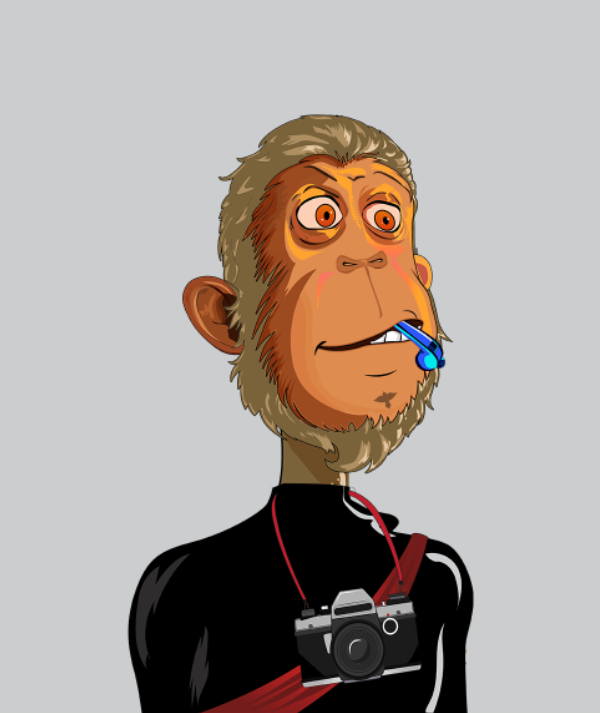 Misfits Ape Society