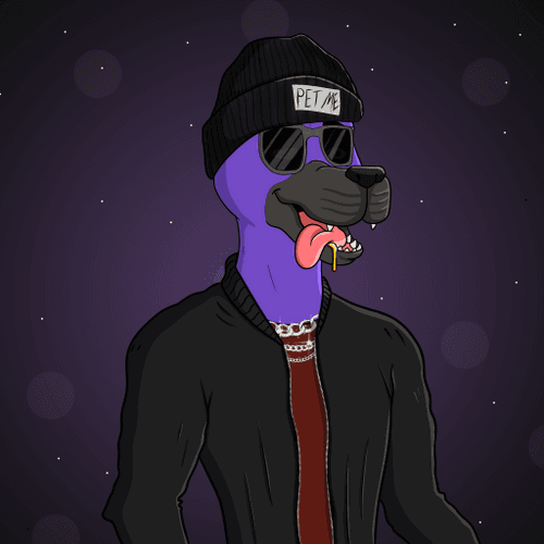 Party Dog #2249