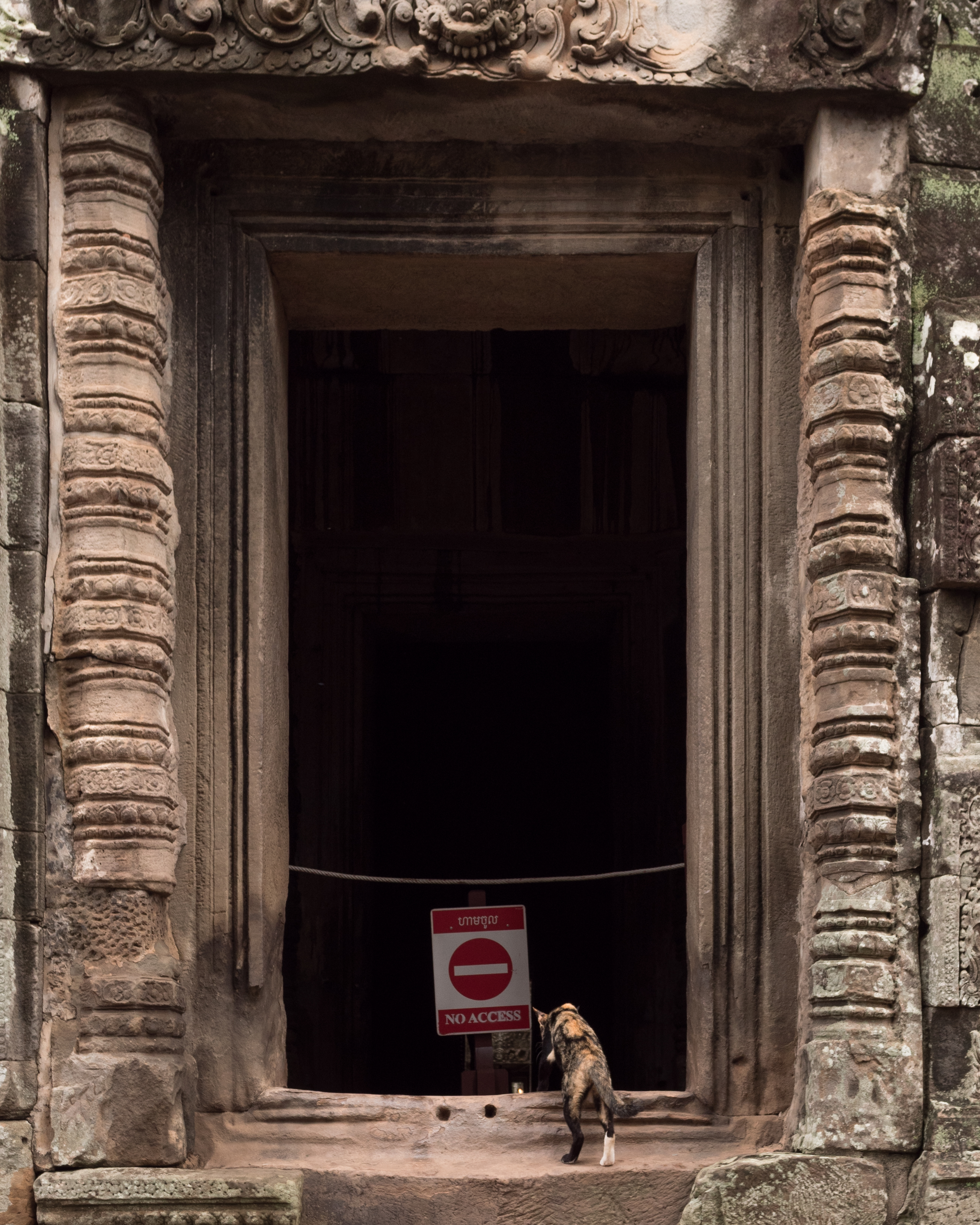 Forbidden Passage