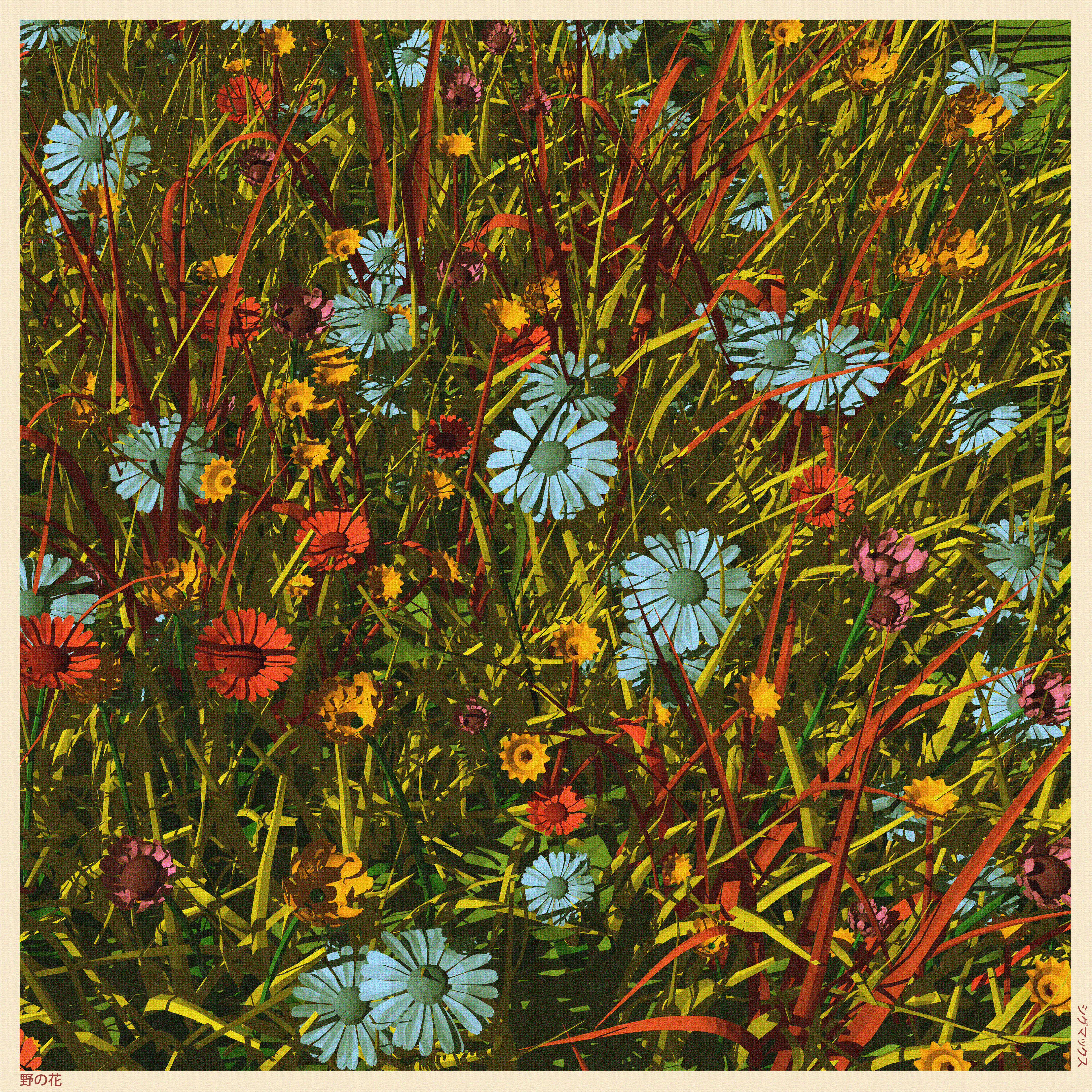 Wildflowers - 野の花