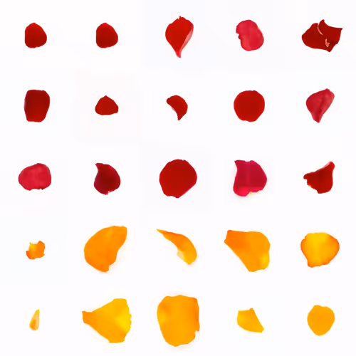 Infinite Petals 5x5#20141