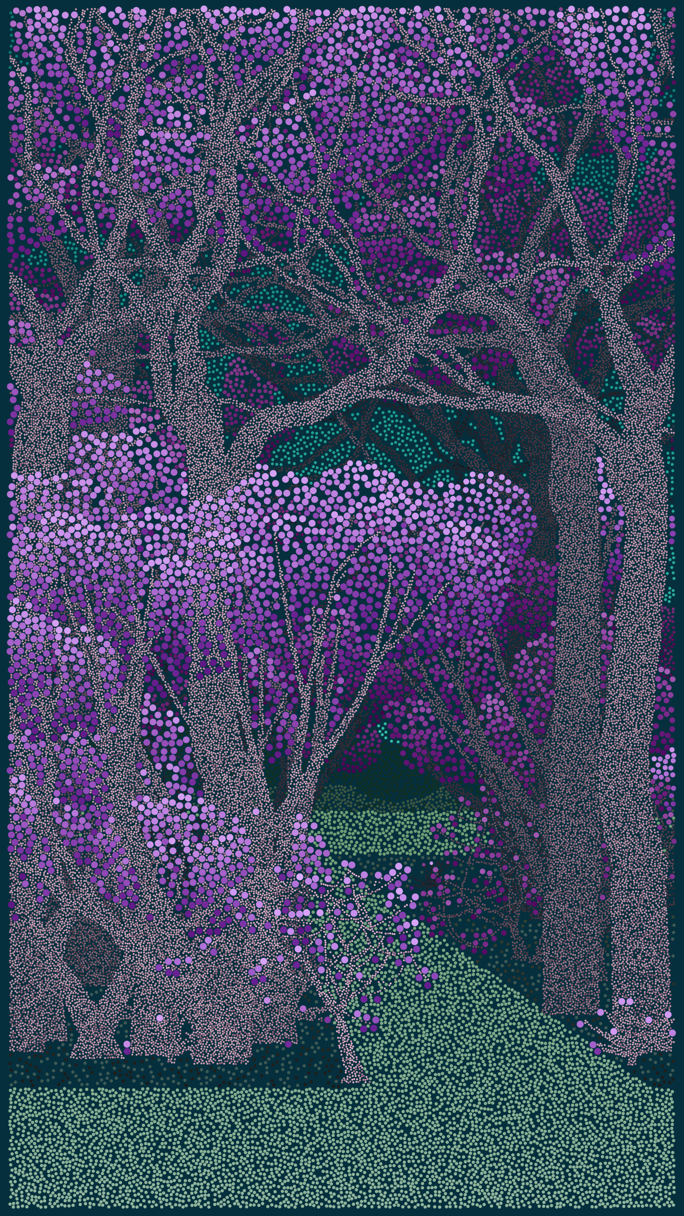 Bosque de Chapultepec #50
