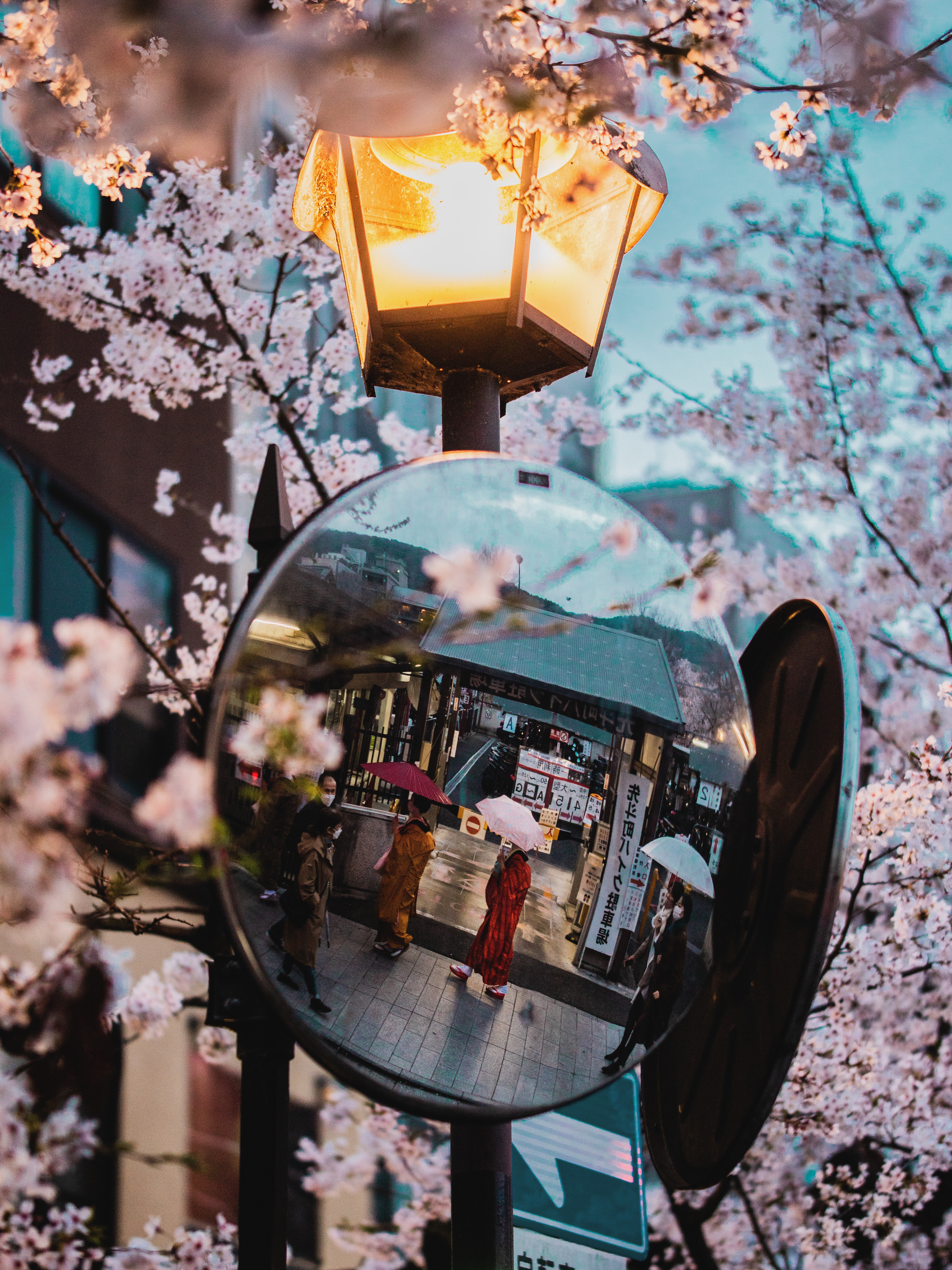 Spring Rain