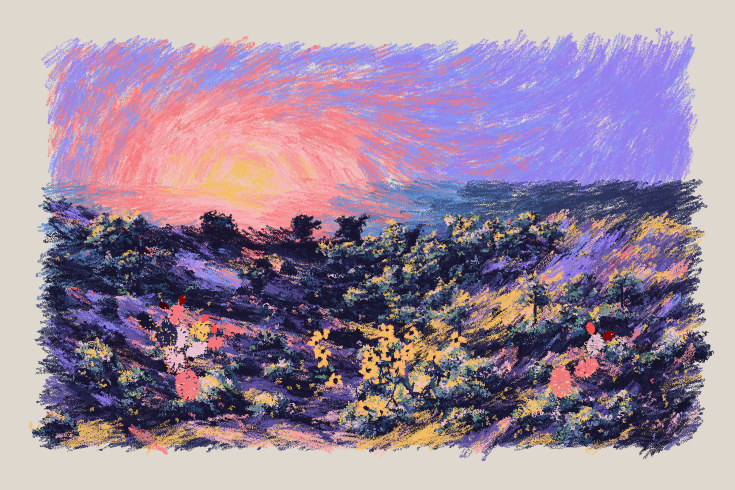 Sunset from the Bluffs #24