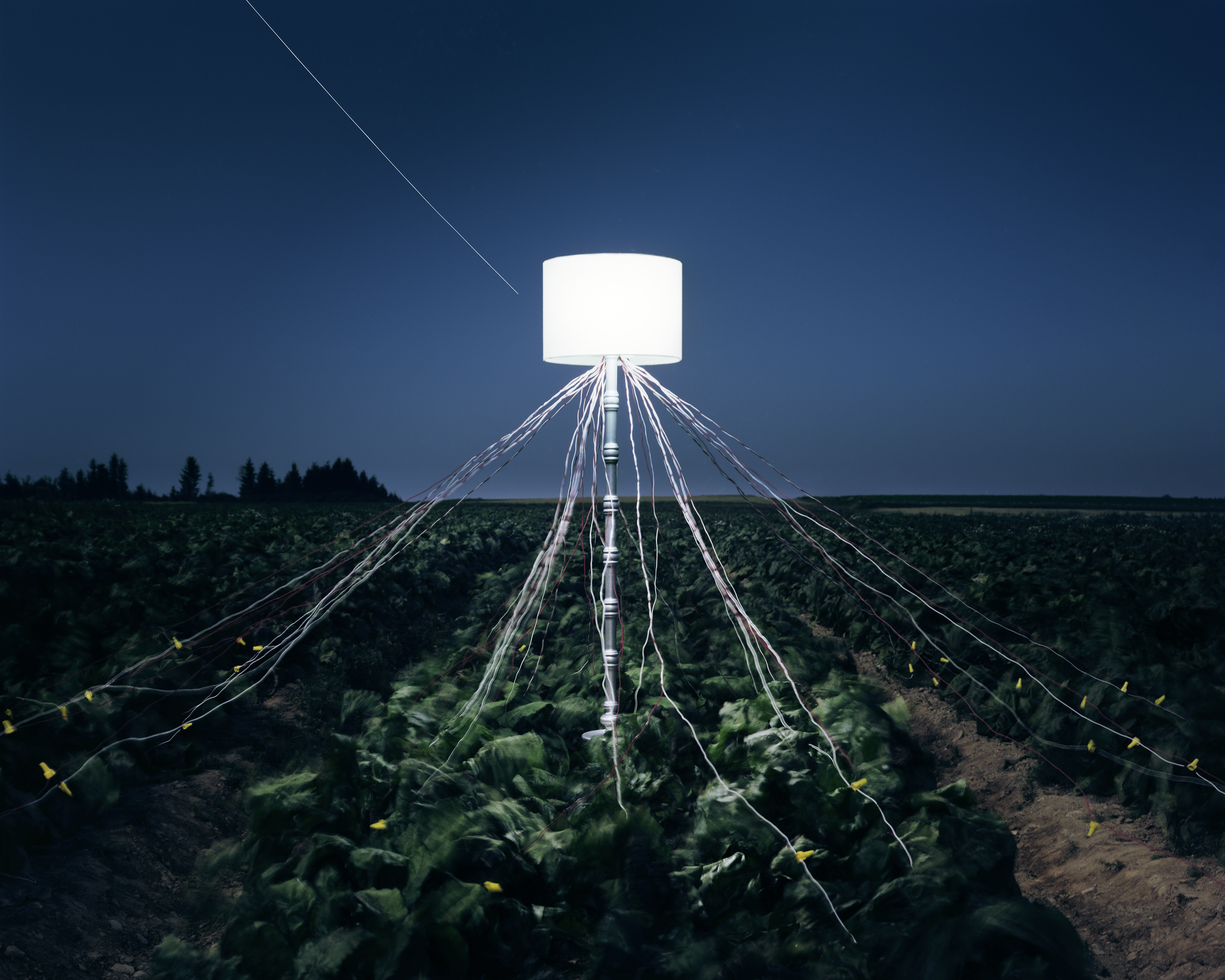 Back to Light - Beet Field Battery, LaJoie Growers LLC, Van Buren, Maine