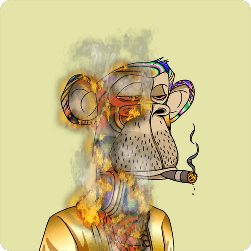 BURNING APE #6841