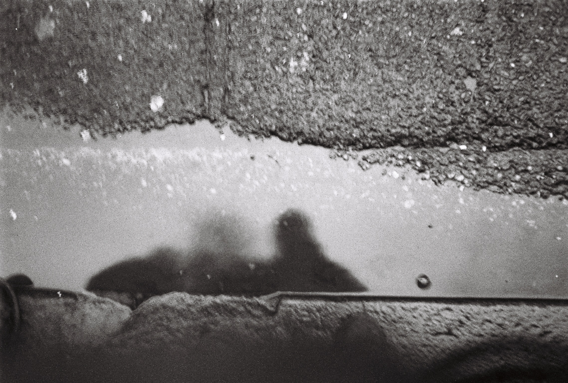 Faceless