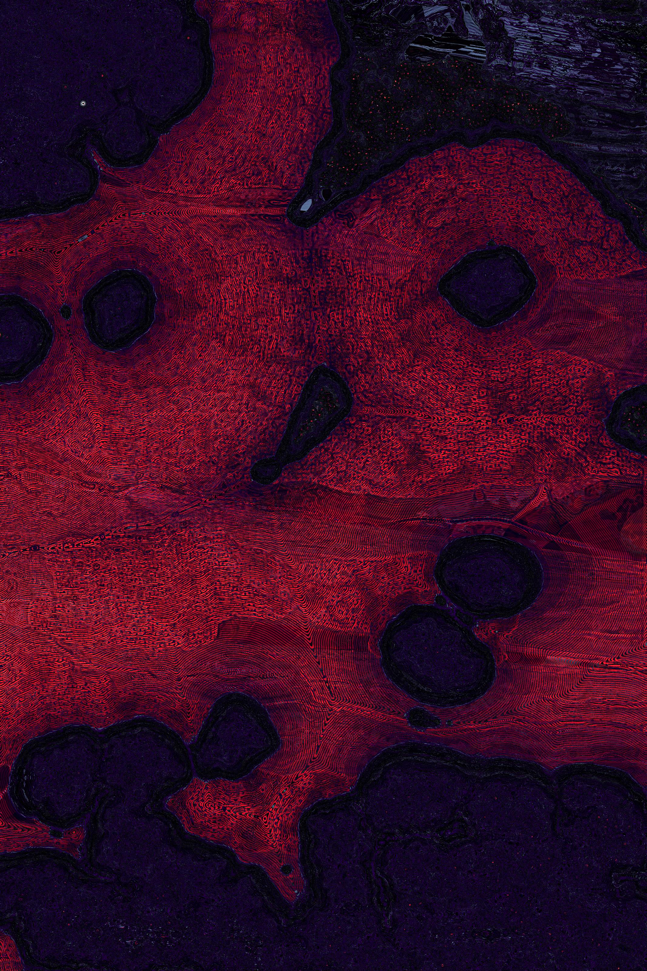 Dactylogram #37