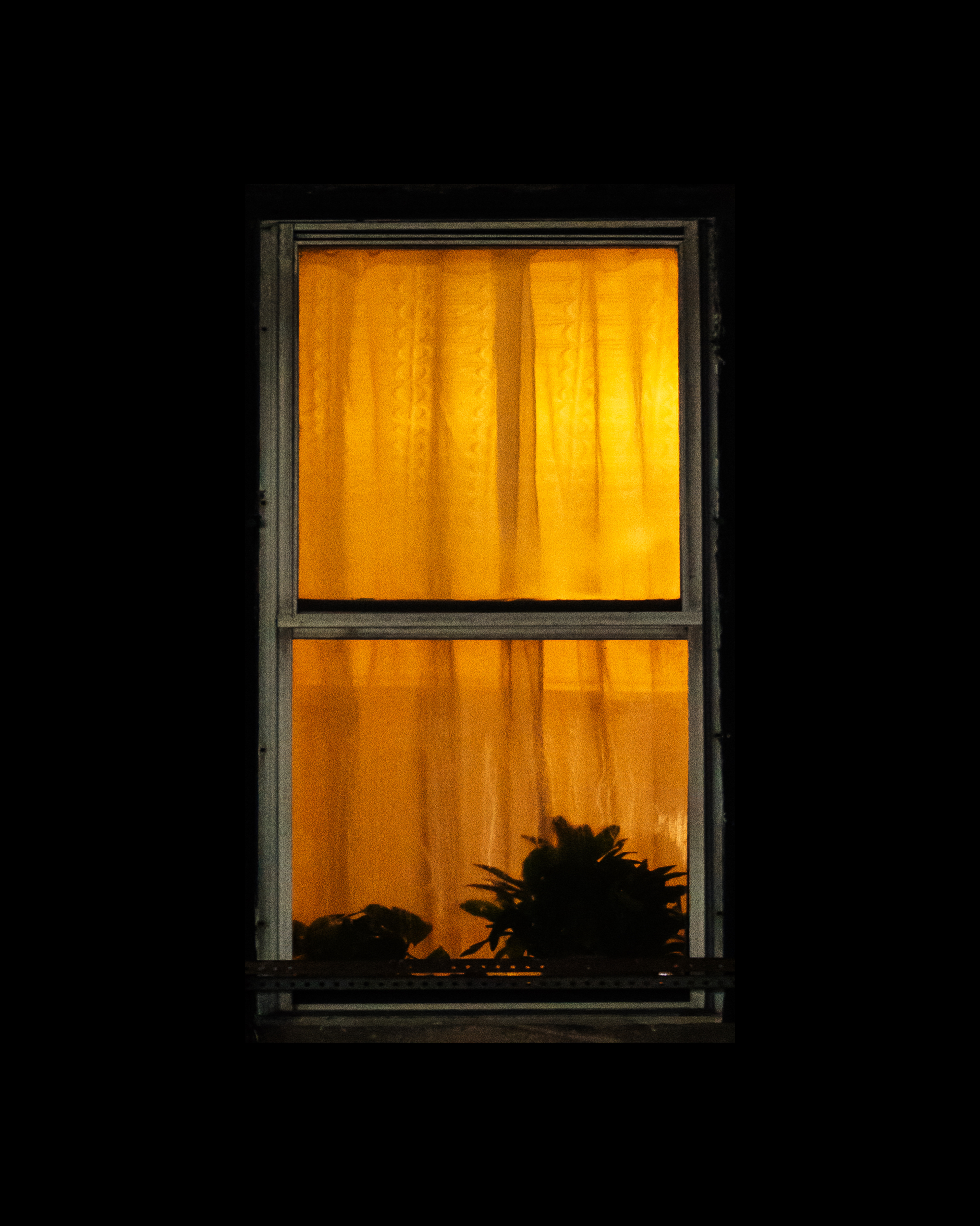 WINDOW 459