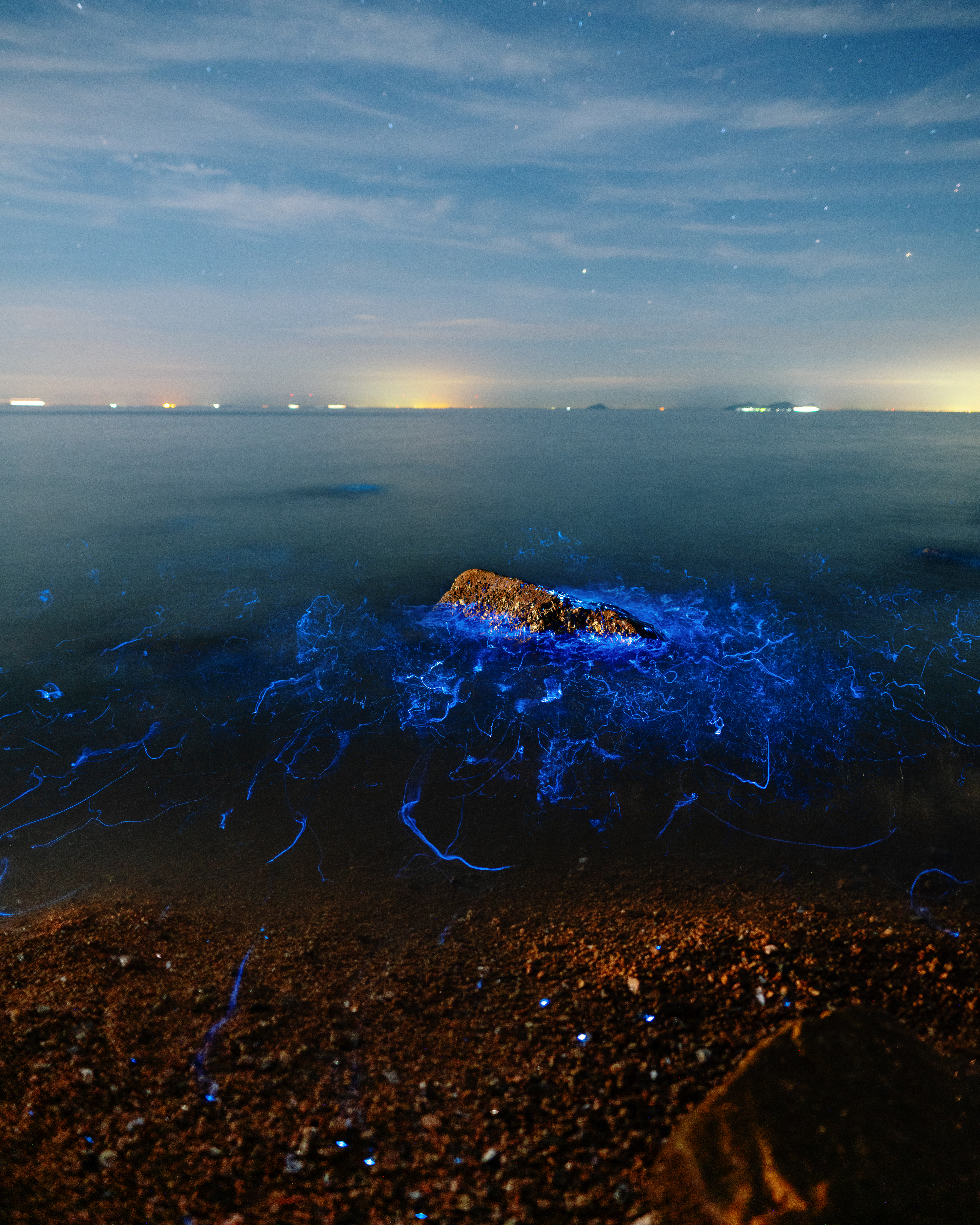 blue blood