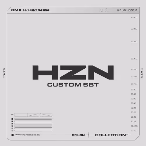 HZN 001 SBT #91