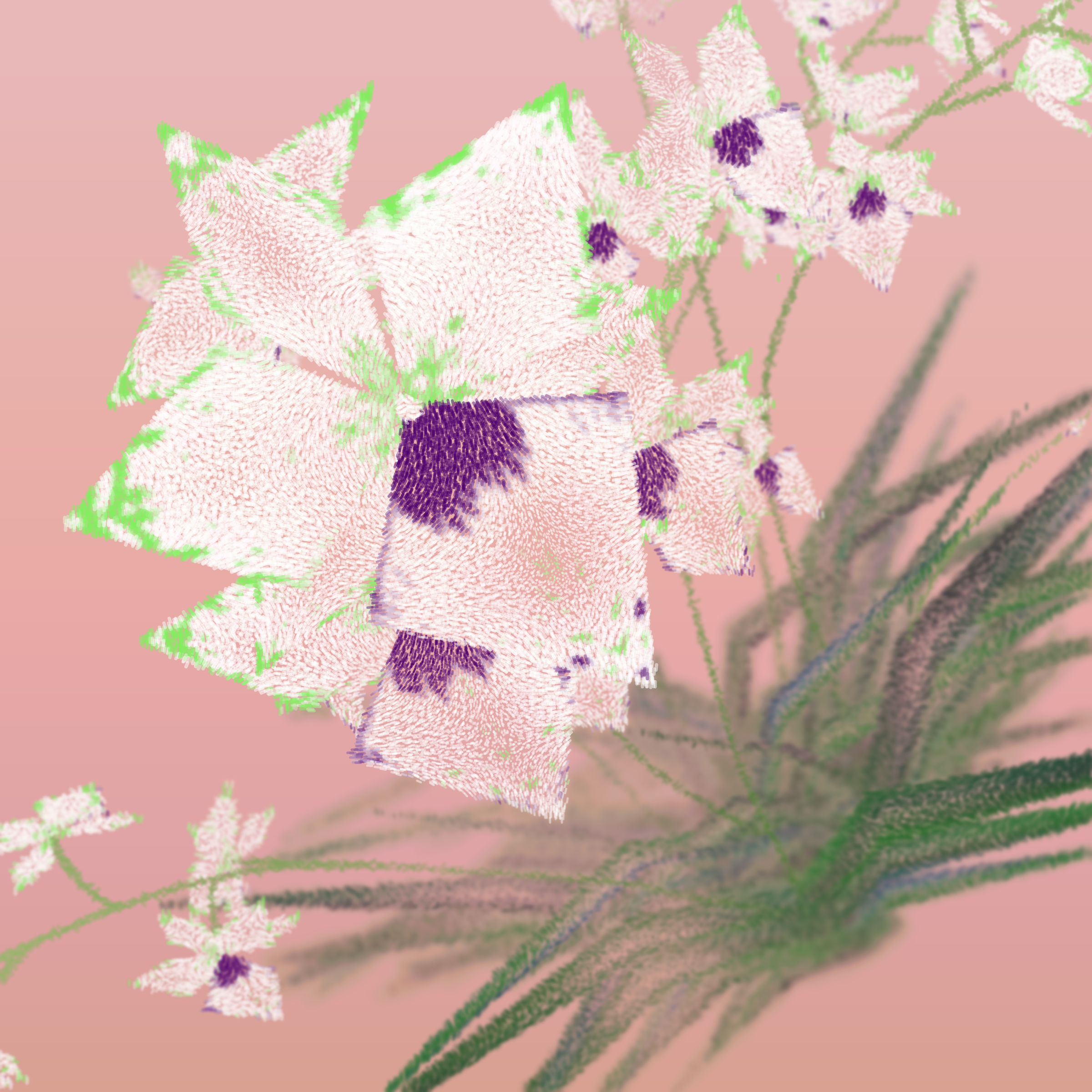 Cattleya #286