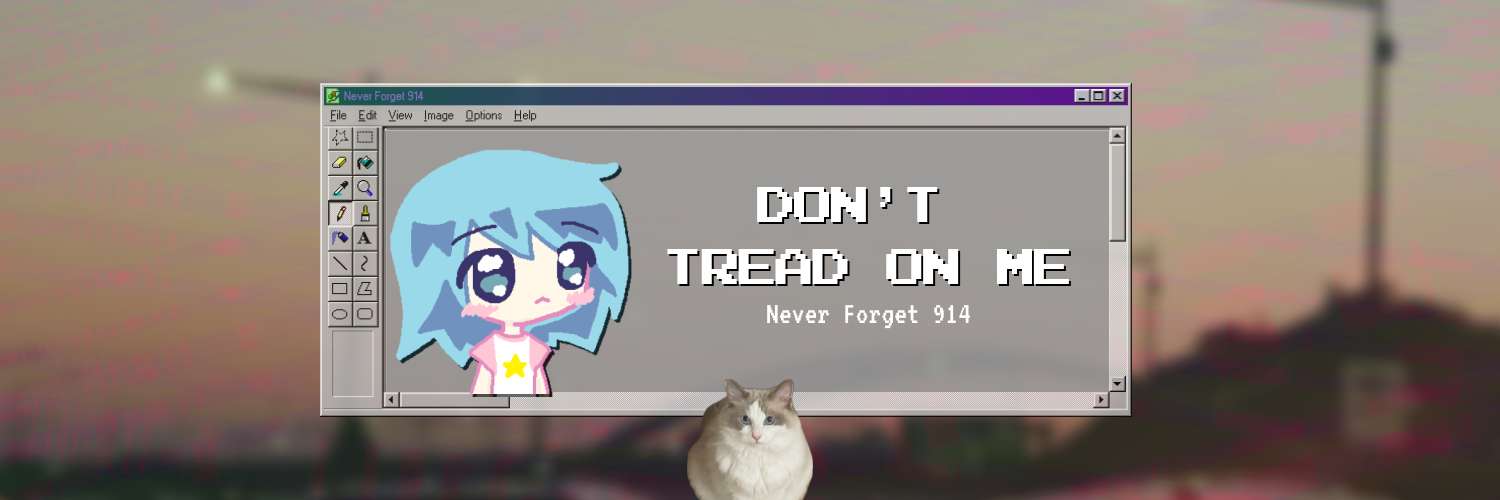 WE WILL WIN