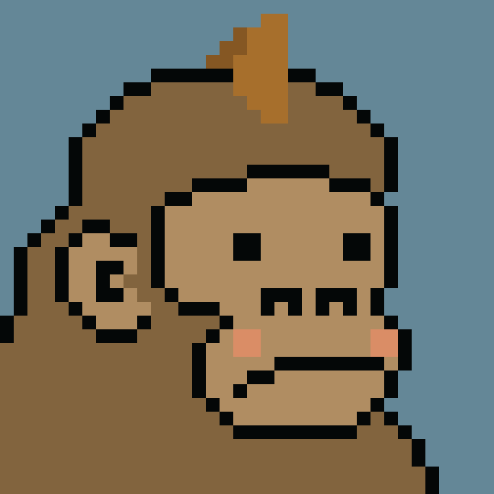 Kong Punk #06925