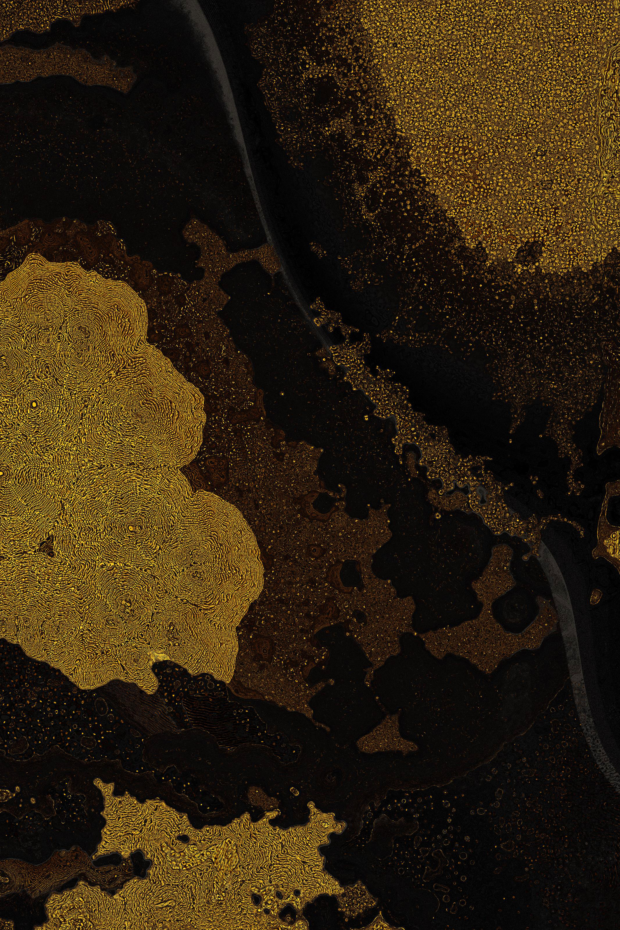Dactylogram #85