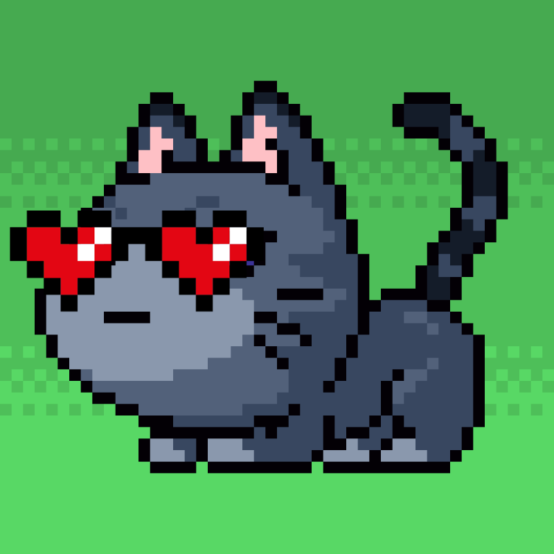 Catxoxo #2203