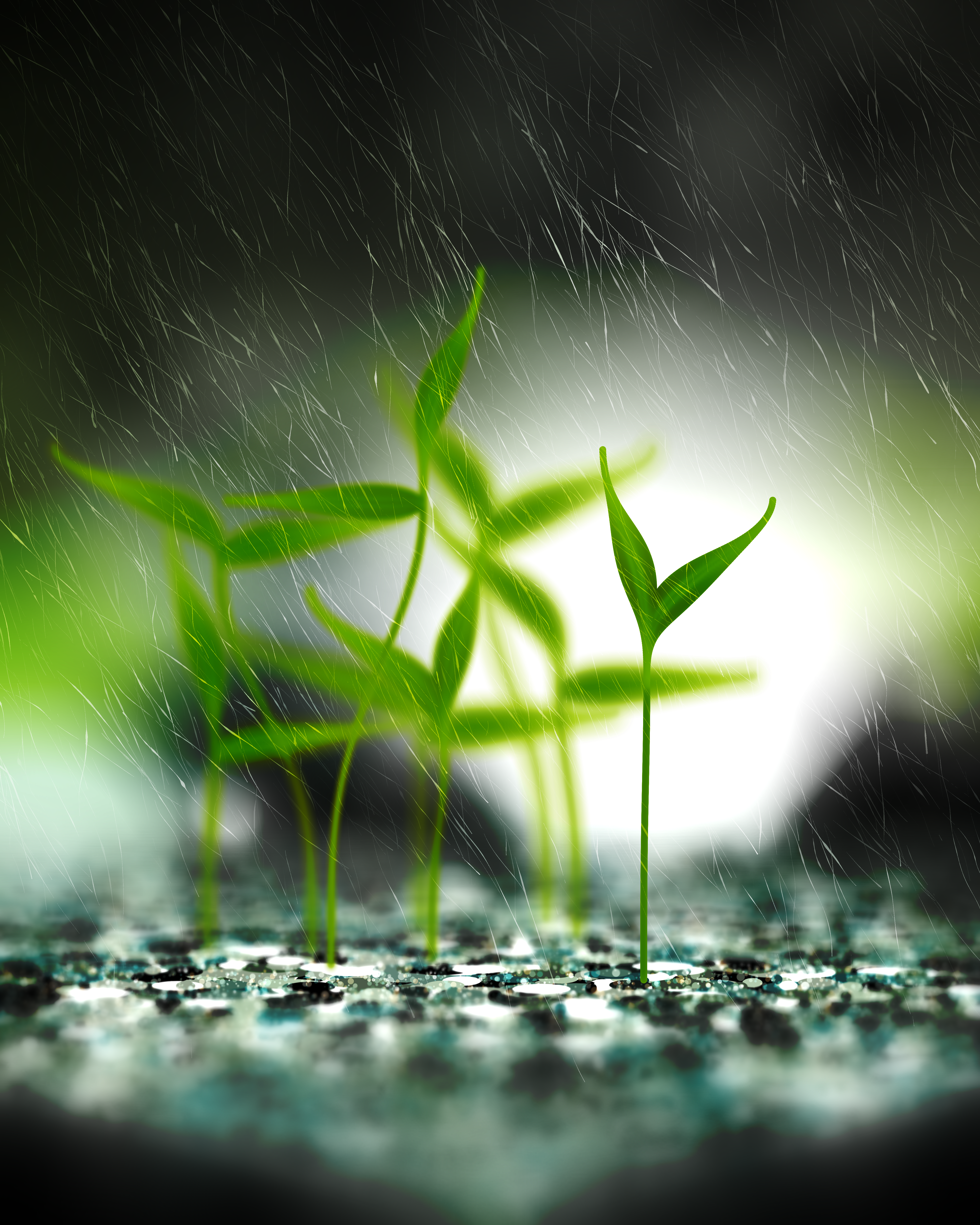 Take Root #4