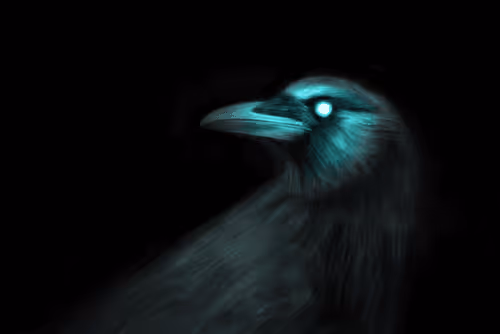 #3 Corvus ossifragus