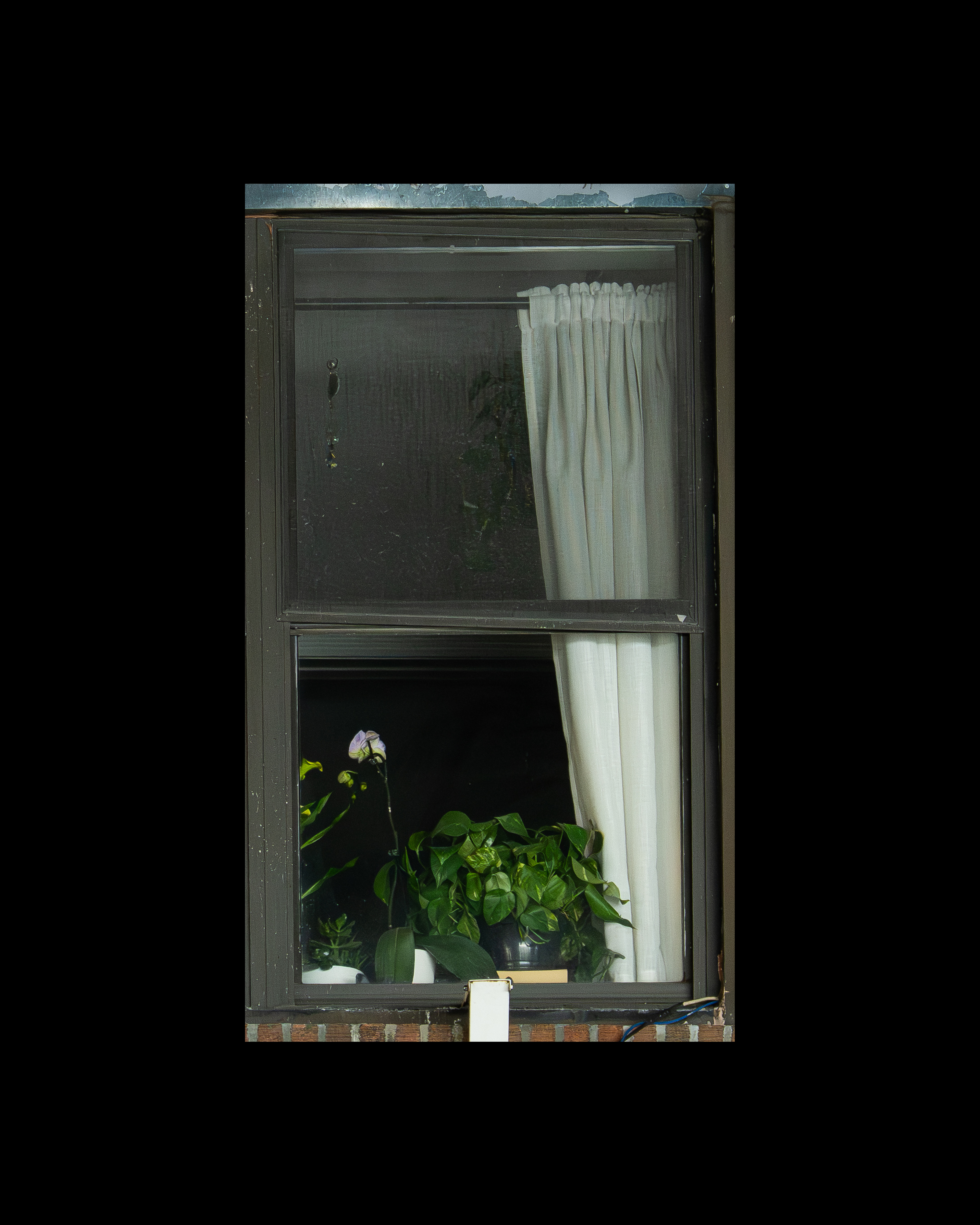 WINDOW 67