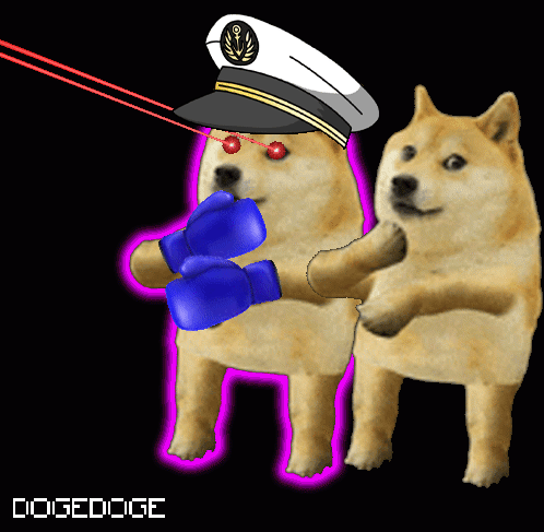 DOGEDOGE #1764