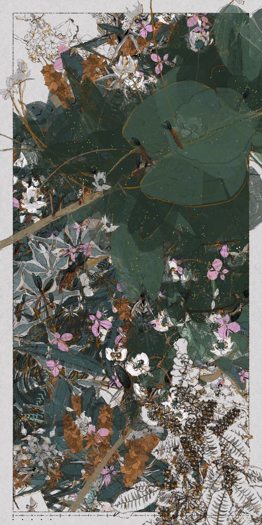 Polypaths | 植徑集 #338