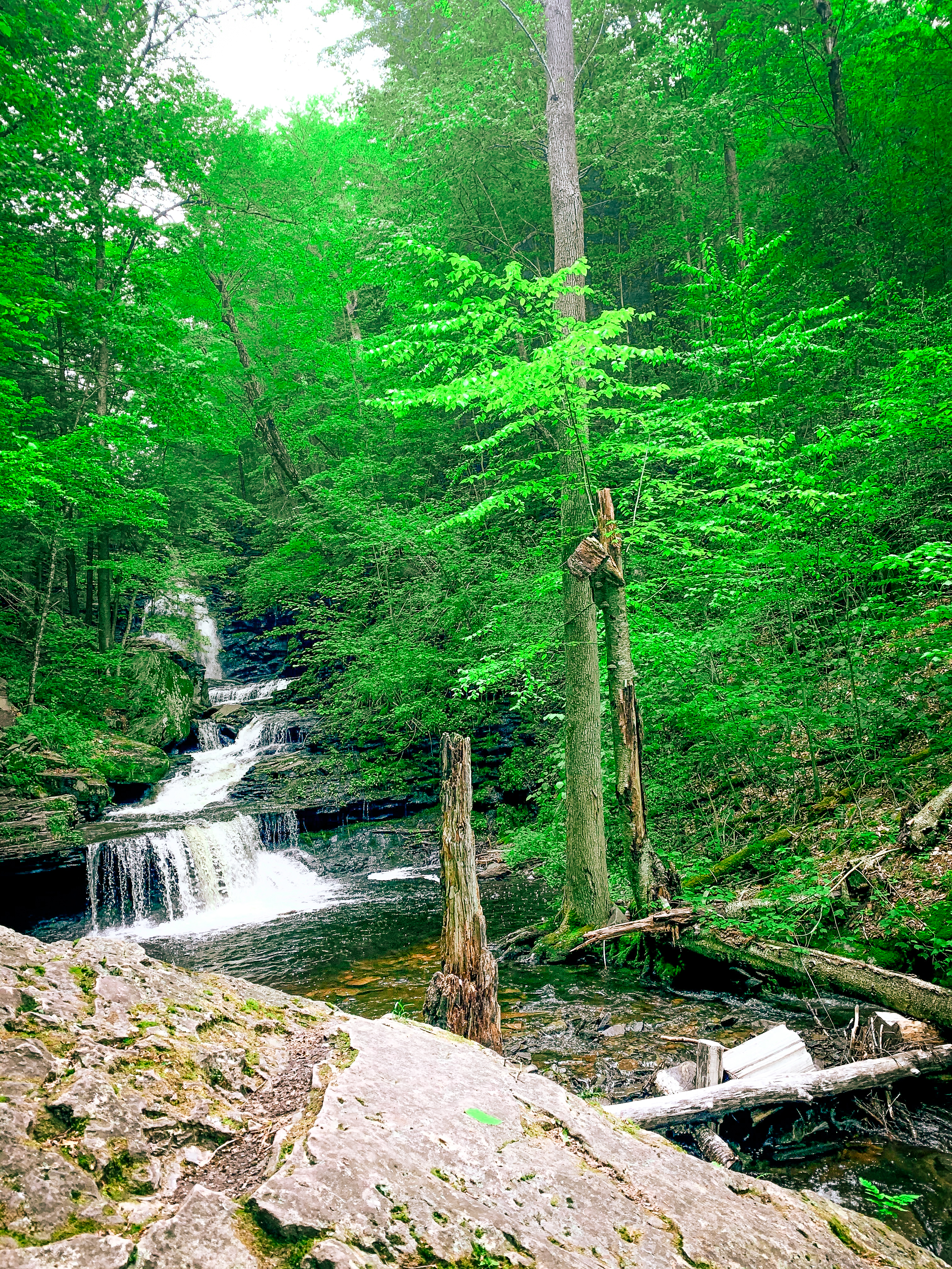 Flowing Fluids