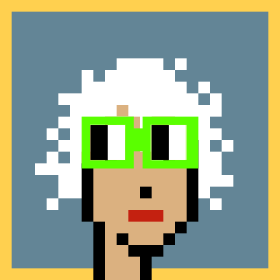 Crypto Noun Punks #289