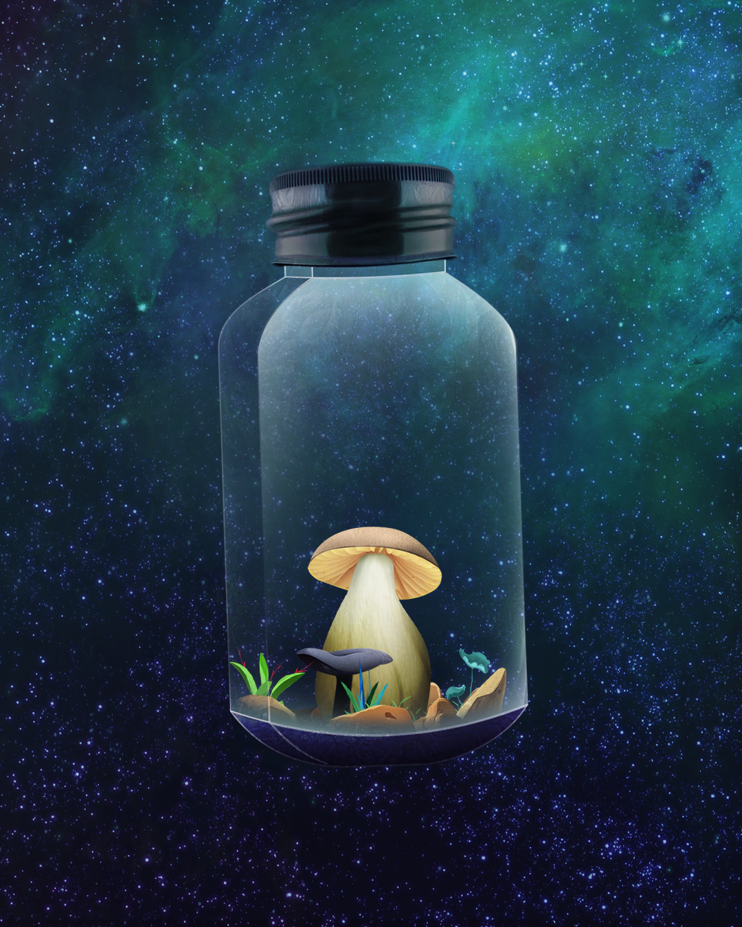 Mushroom #897