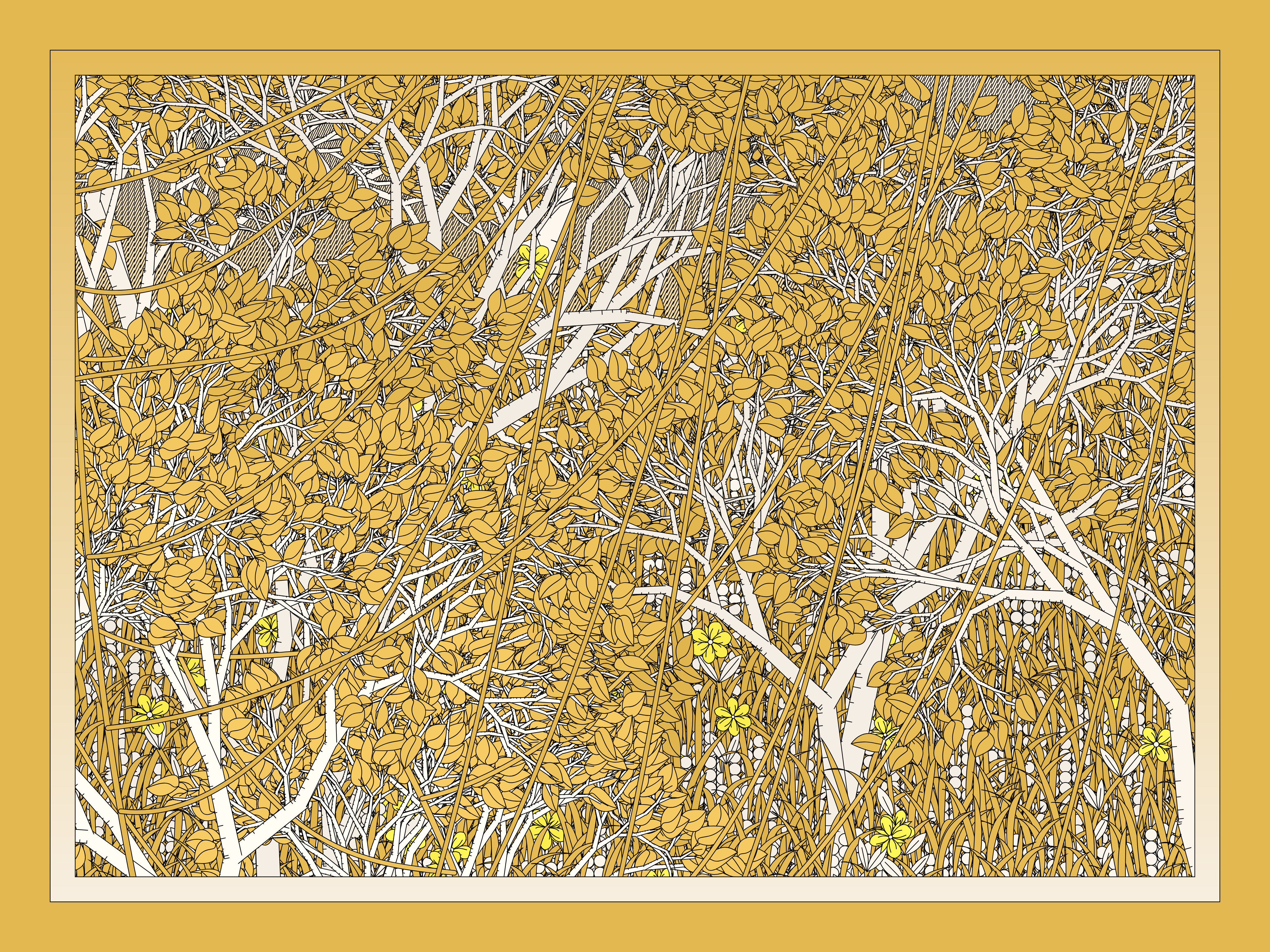 Entangled #334