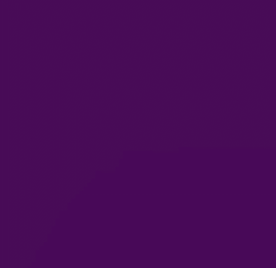𝐅𝐮𝐜𝐤