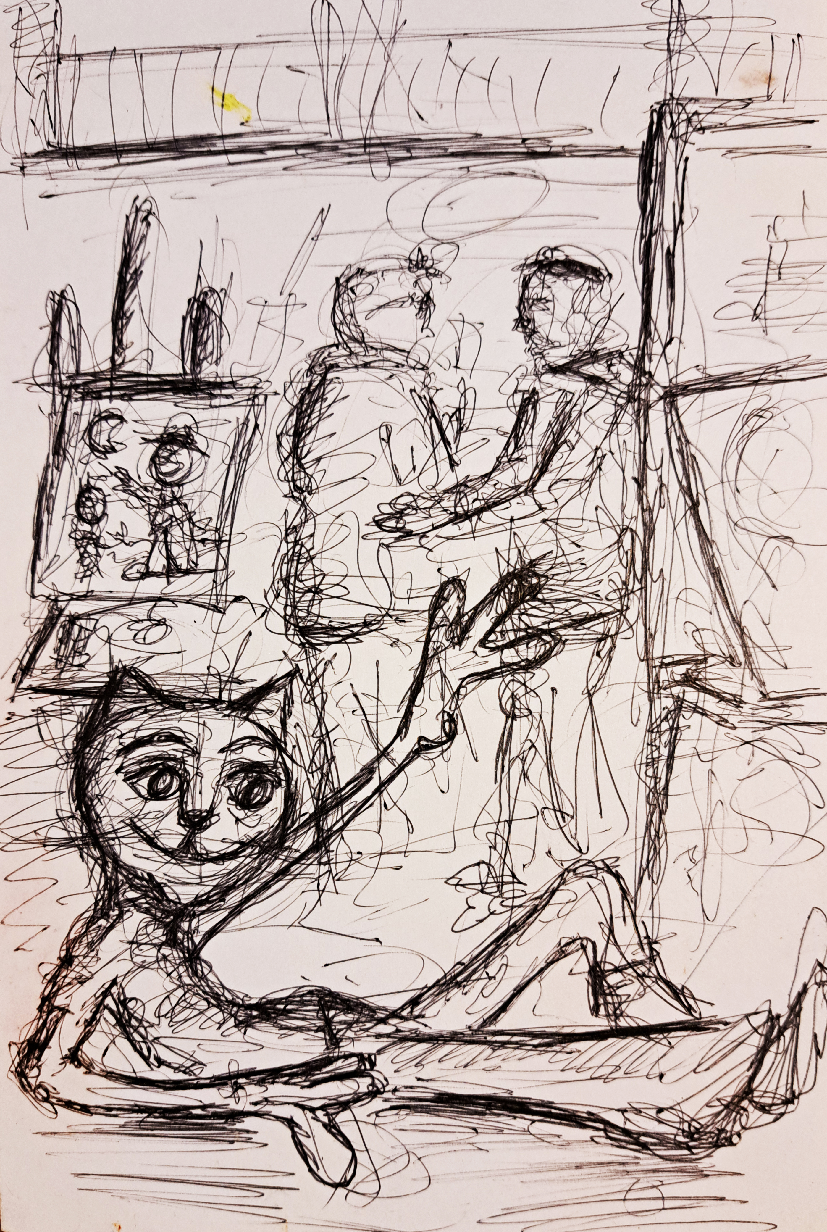 Cat in the Studio