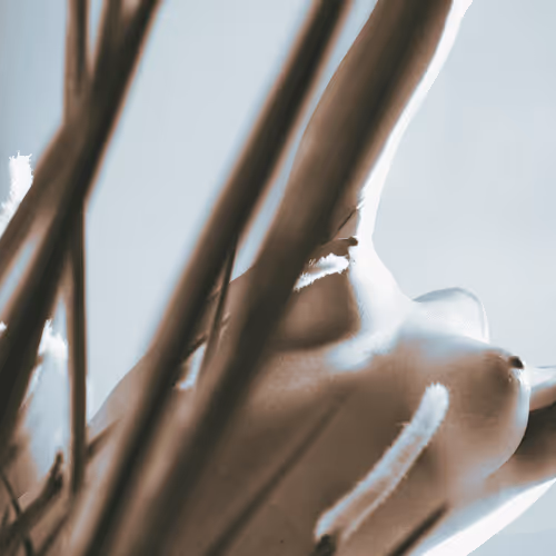 Shadow Nude #17